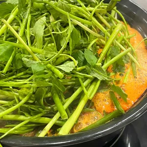 등촌샤브칼국수 사진 1