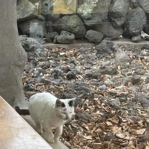 삼일해장국 리뷰 사진