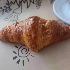 냅인더선샤인 리뷰 사진