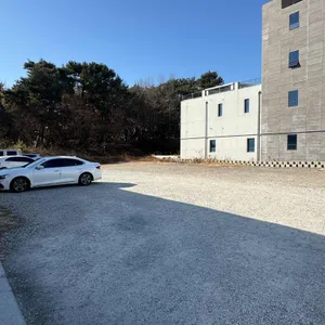 동백 리뷰 사진