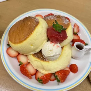 데일리 오아시스 사진