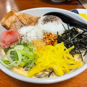 타라코소바 사진