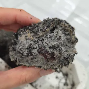 밀곳 리뷰 사진