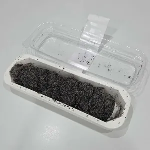 밀곳 리뷰 사진