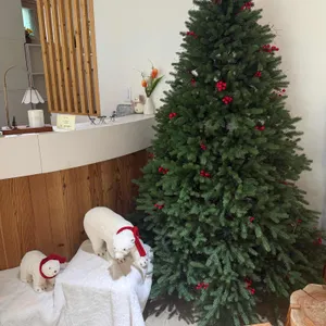 카페트루 리뷰 사진