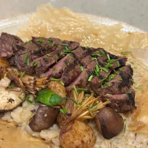 카멜오르조 사진