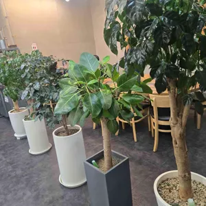 남도정 리뷰 사진