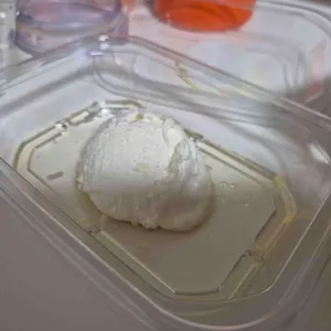 모센즈스위트 리뷰 사진