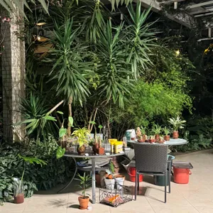 오랑주리 리뷰 사진