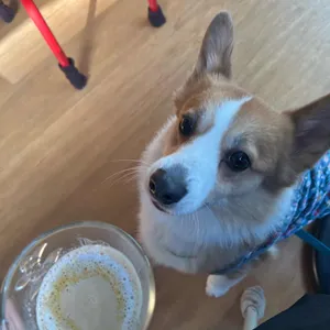 잔걸음 리뷰 사진