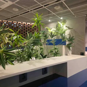 오픈커피 리뷰 사진