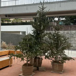 낫배드커피 리뷰 사진