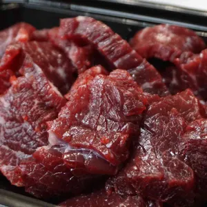 경주화영육회 사진 2