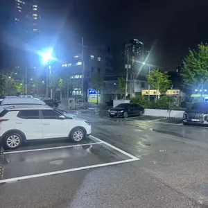 샤브자작나무 리뷰 사진