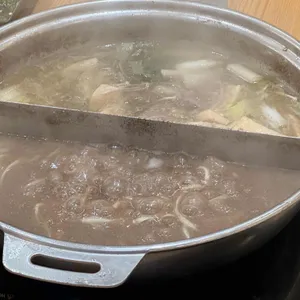 샤브자작나무 대표 사진