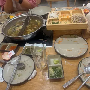 샤브자작나무 대표 사진