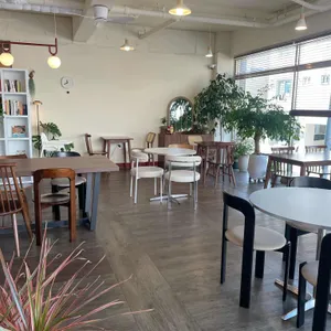 크리스토 대표 사진