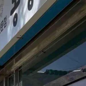 동강식당 리뷰 사진