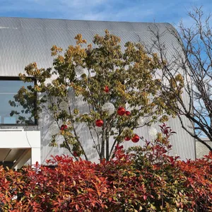 칠암사계 리뷰 사진