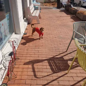 카페노아 대표 사진