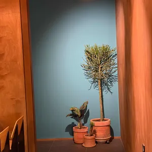 델로바 리뷰 사진