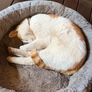 이정의댁 리뷰 사진