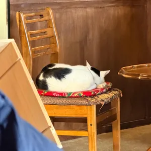 이정의댁 리뷰 사진