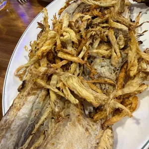 유지안호프 대표 사진