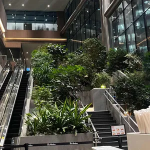 팀홀튼 리뷰 사진