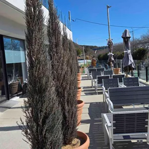 아호베 리뷰 사진