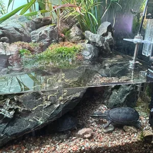 비워터 리뷰 사진