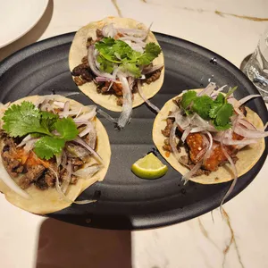 바토스앤폴리스 사진 1