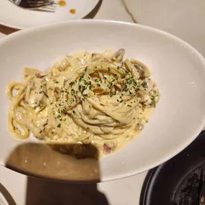 바토스앤폴리스 사진 2