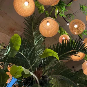 달빛새 대표 사진