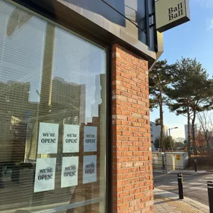 볼볼 리뷰 사진