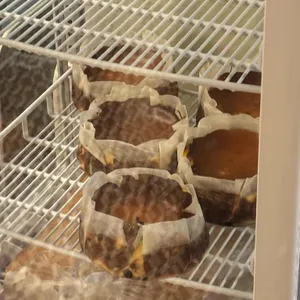 어질 인 리뷰 사진