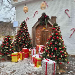 코미호미 리뷰 사진