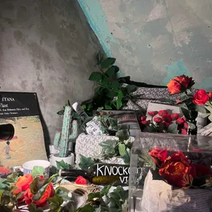 넉아웃 리뷰 사진