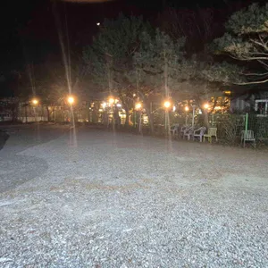 잔치 연 리뷰 사진