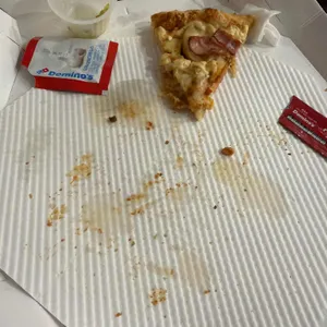 도미노피자 리뷰 사진