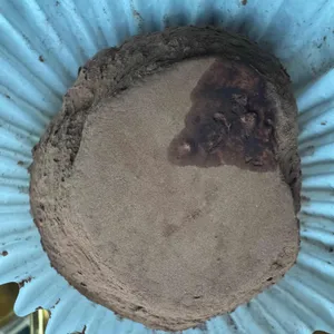 커피에반하다 대표 사진