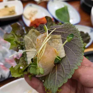 두리두리활어회센터 사진