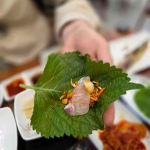 두리두리활어회센터 리뷰 사진