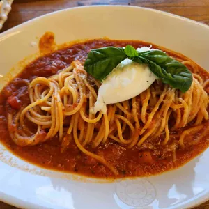 목수의진달래 사진