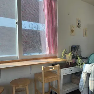 코우하우스 대표 사진