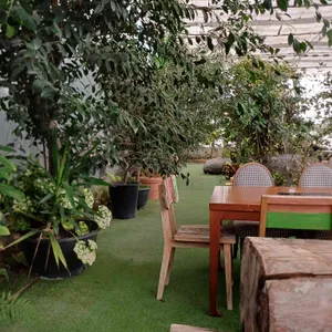 바오밥 식물원 베이커리 & 카페 리뷰 사진