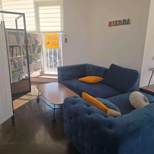 이에르바 리뷰 사진