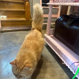 평균이하 리뷰 사진