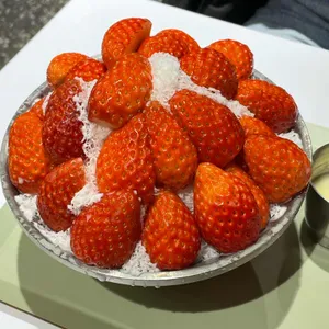 마니달오 리뷰 사진