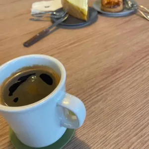 써니포레스트 사진